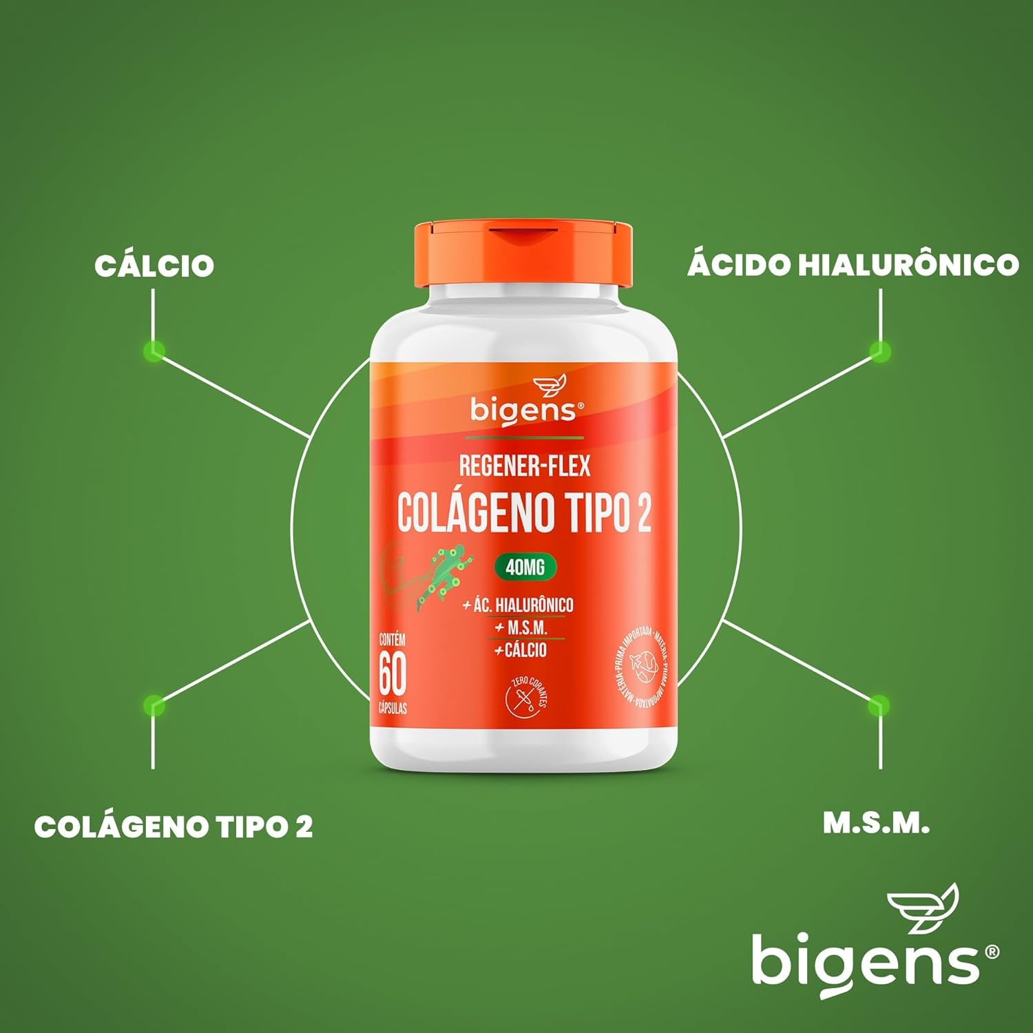 Regener Flex, Colágeno tipo 2 40mg, ácido hialurônico, M.S.M., Cálcio, 60 cápsulas, Biogens thumbnail 4